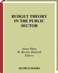 Image of Budget Theory in the Public Sector